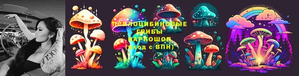 метадон Липки