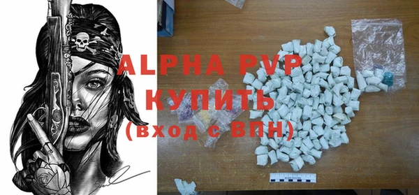 ECSTASY Горняк